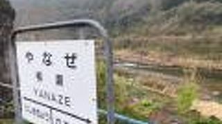 錦川沿いの田園風景が良い