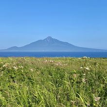 ここからが礼文島で一番利尻富士が近い