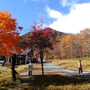 訪問時は、紅葉が残っていて、赤色や黄色がたいへん鮮やかでした