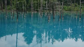 神秘的にブルーに輝いてます！