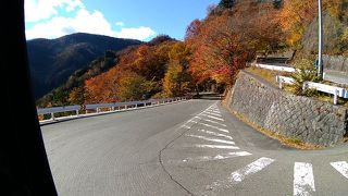スイスイで周囲の紅葉を満喫