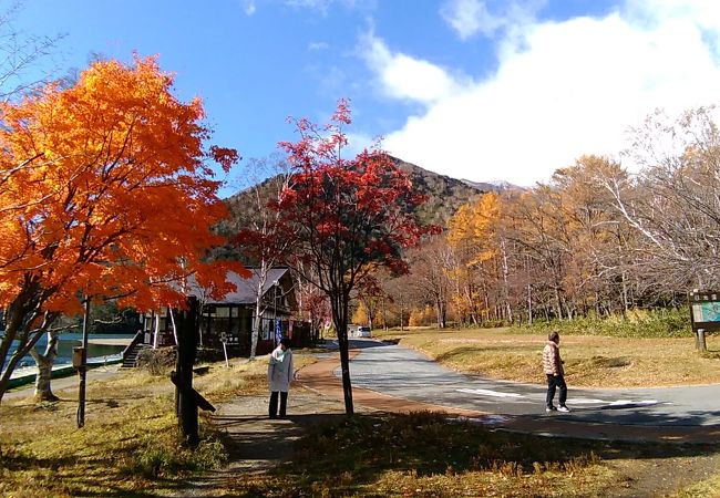 訪問時は、紅葉が残っていて、赤色や黄色がたいへん鮮やかでした