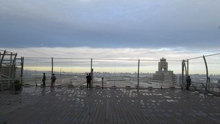 見ていて飽きません