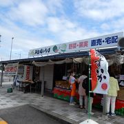 鳥取ブランドの大玉の大栄スイカがお買い得