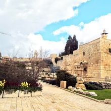 まだまだ発掘途中です!!