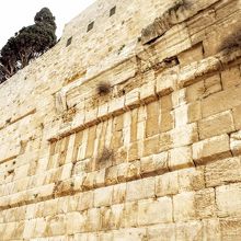 ロビンソンアーチの付け根部分