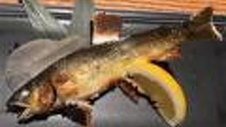 魚のおいしい居酒屋さん