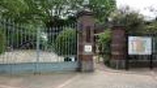 都会の大きな公園