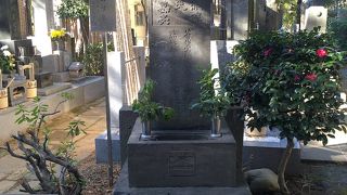 南総里見八犬伝