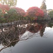 池・紅葉したモミジの木々・独特な建物がとてもきれいでした