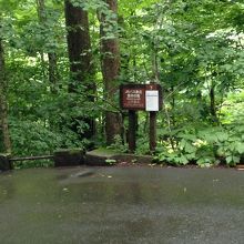 奥入瀬渓流沿いのバス停です。車道には路側帯がなく、後ろはヤブ