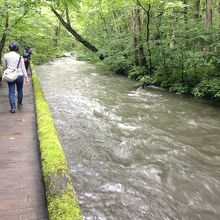 もう少し増水したら、歩道は水没するでしょう