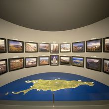 礼文島の見所ジオラマ