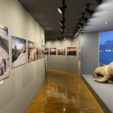 四季折々の写真とアザラシとの記念写真コーナー