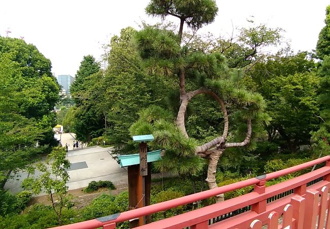 月の松 クチコミ アクセス 営業時間 上野 御徒町 フォートラベル
