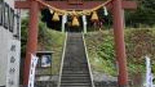 世の平安をお祈りしました