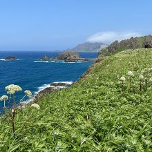 斜面には柱状節理が沢山見られます