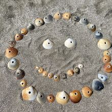 穴あき貝でニコちゃんマーク