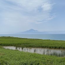 展望台から湿地と利尻富士