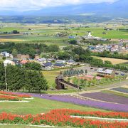 中富良野の駅にも近く、意外な穴場かも。