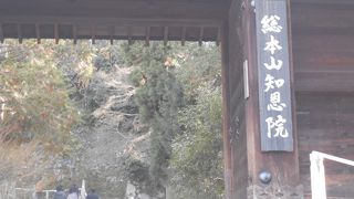 祇園の近くにある浄土宗総本山の寺院