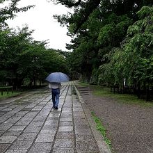 公園はとても広い