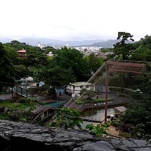 公園には動物園が併設されている