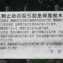 昔からの解説板には素朴な文体で綴られています