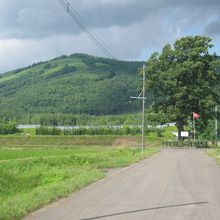 少し離れて眺めるとこんな感じです。