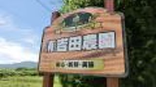 ここのメロンが一番でした