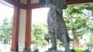 とても素晴らしい手水舎