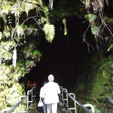 ラバ・チューブの入り口付近