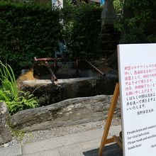 柄杓は利用できず