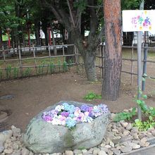 こじんまりした花手水