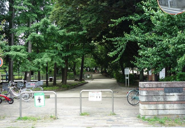 四季それぞれの景色を楽しめる公園