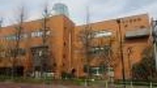 外国語の絵本に気付きを得る