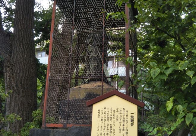 一葉観音 クチコミ アクセス 営業時間 浅草 フォートラベル