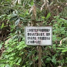 付近は今でもヒグマが出るようです