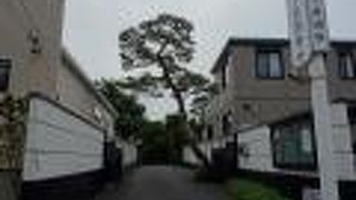 伊庭八郎のお墓があることで知られるお寺