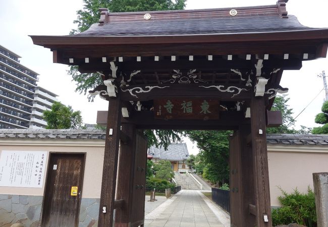 将軍家にゆかりの由緒あるお寺