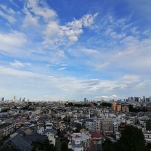 江古田原と江戸城方向を望む(飛行機飛び始めたし)