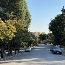 ゼウス神殿見えます