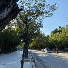 ランニングできます。安全