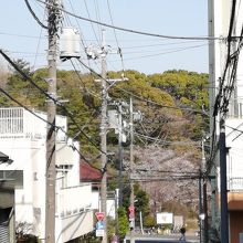 公園景(その気になればそう想える貴重な角度かなあ、って1枚)