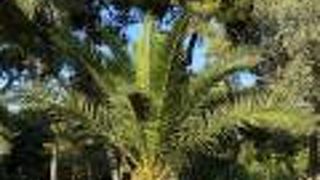 ザッピオン公園