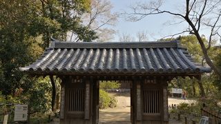 あれこれ想える散歩コース