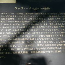 解説文を読みフムフム・・・