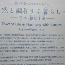 グローバルに考えた中で藤前干潟を見つめ直す機会にも…。