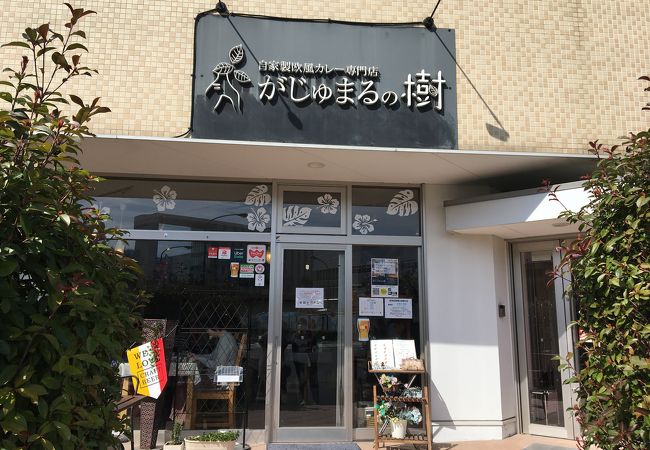 がじゅまるの樹 クチコミ アクセス 営業時間 高尾 八王子 フォートラベル