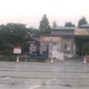 広大なひまわり畑